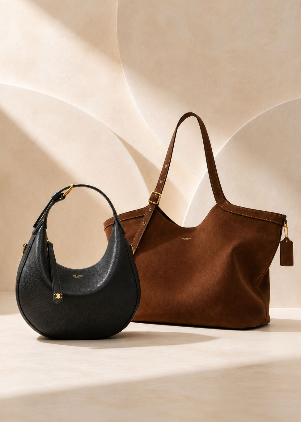 CELINE Teen Lulu + COACH Gramercy Tote Bag